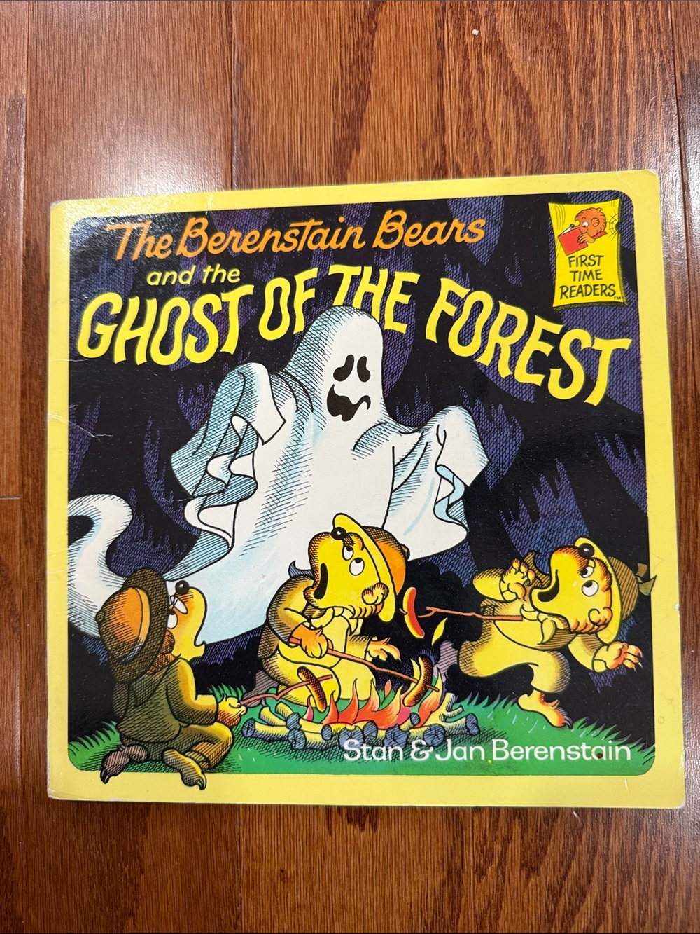 The Berenstain Bears Ghost of the Forest Vintage 1988 Halloween Book